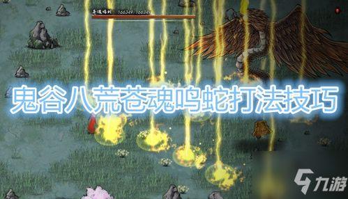 晓蛇爆料视频大全下载最新,揭秘娱乐圈最新动态